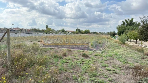 Terreno para Venda em Marinhais