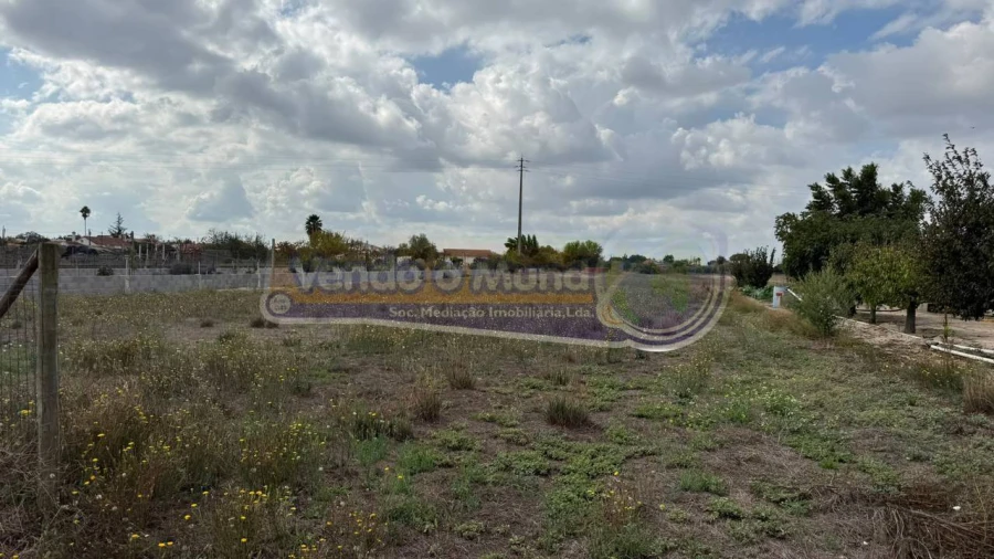 Terreno para Venda em Marinhais Foto 9