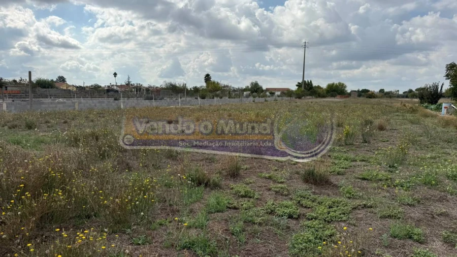 Terreno para Venda em Marinhais Foto 5