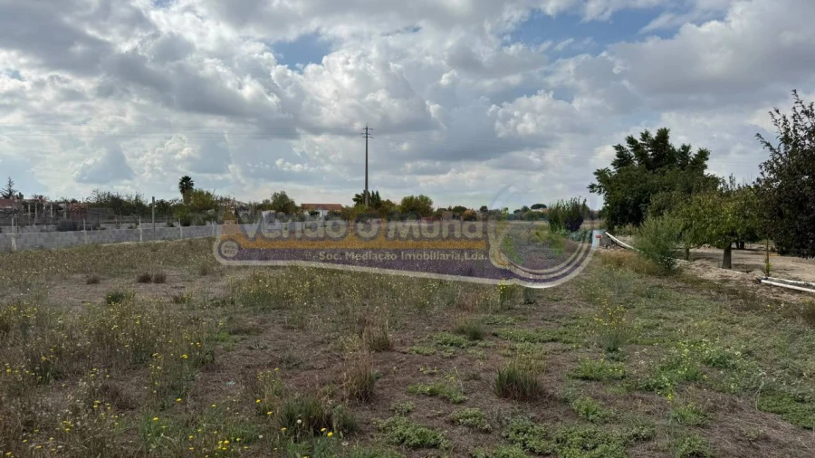 Terreno para Venda em Marinhais Foto 10