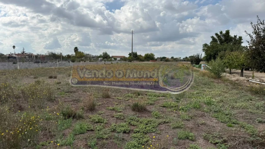 Terreno para Venda em Marinhais Foto 11