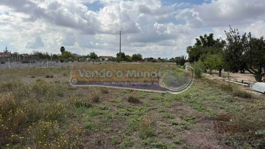 Terreno para Venda em Marinhais Foto 7