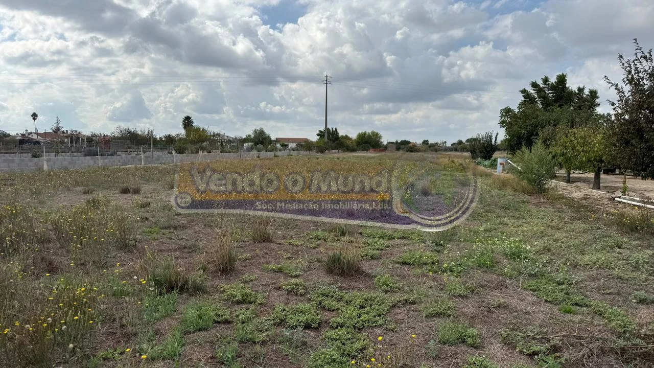 Terreno para Venda em Marinhais Foto 11