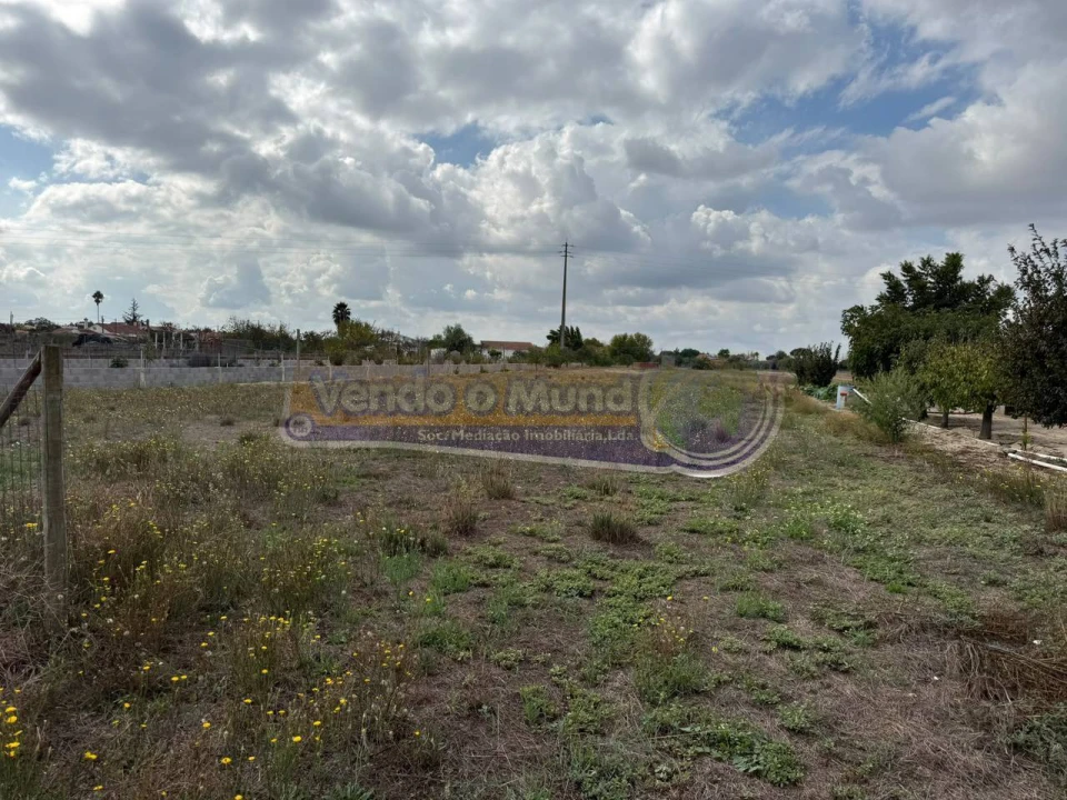 Terreno para Venda em Marinhais Foto 4