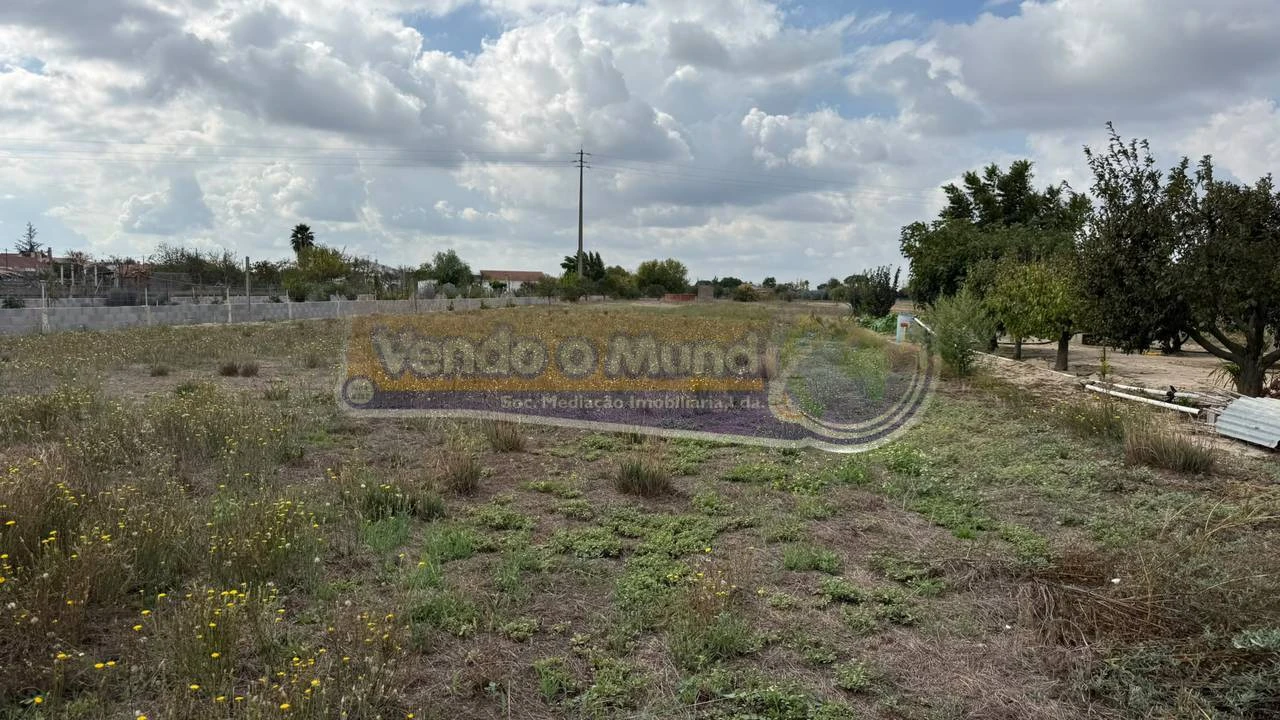 Terreno para Venda em Marinhais Foto 7