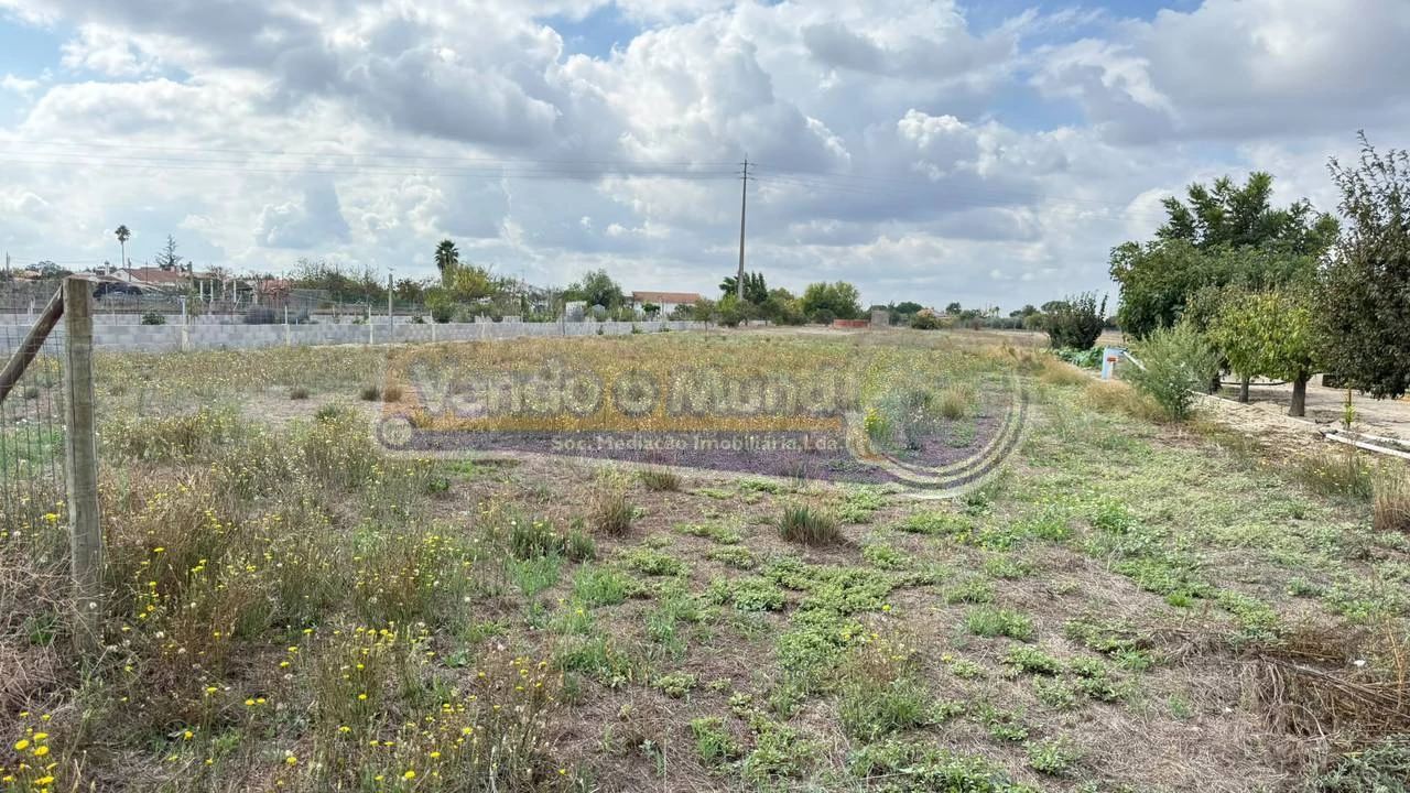 Terreno para Venda em Marinhais Foto 3