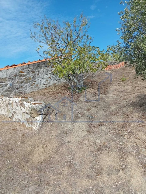 Terreno para Venda em Vila Flor e Nabo