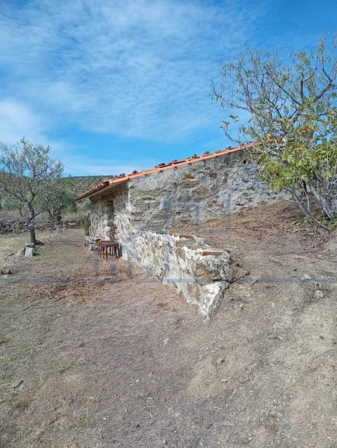 Terreno para Venda em Vila Flor e Nabo