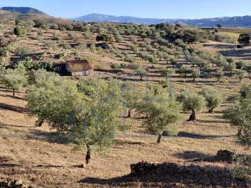 Terreno para Venda em Vila Flor e Nabo