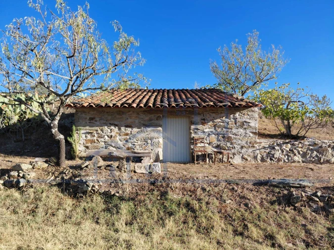Terreno para Venda em Vila Flor e Nabo Foto 6