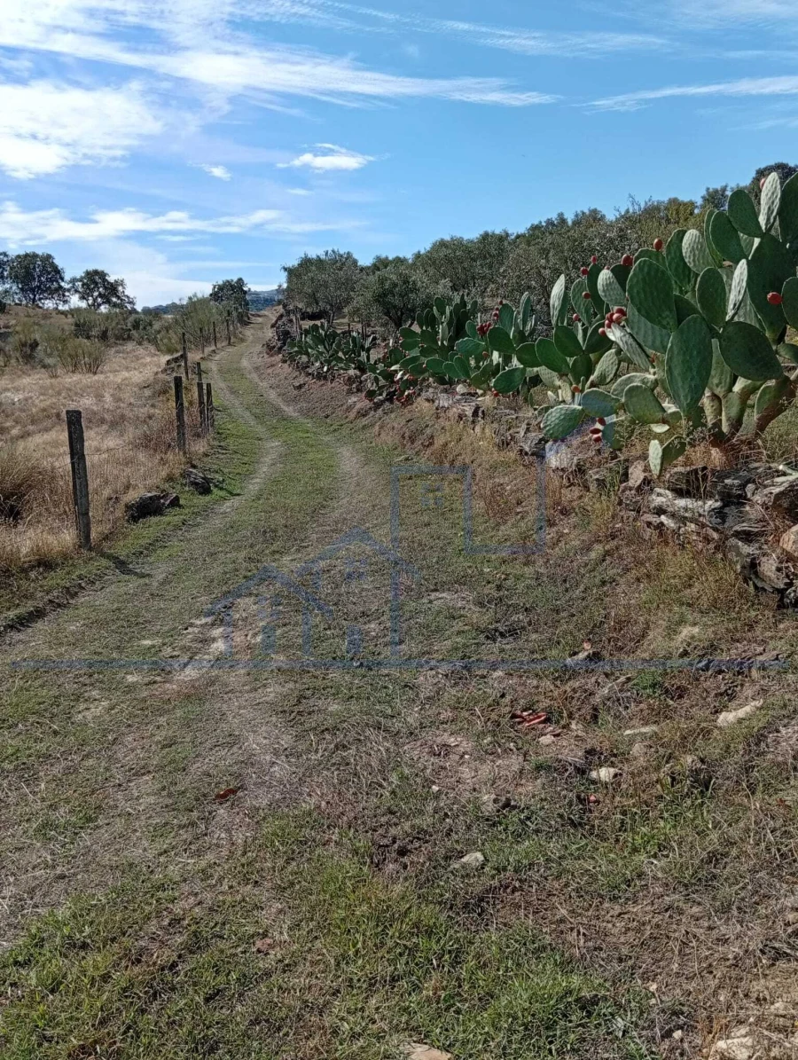 Terreno para Venda em Vila Flor e Nabo Foto 2