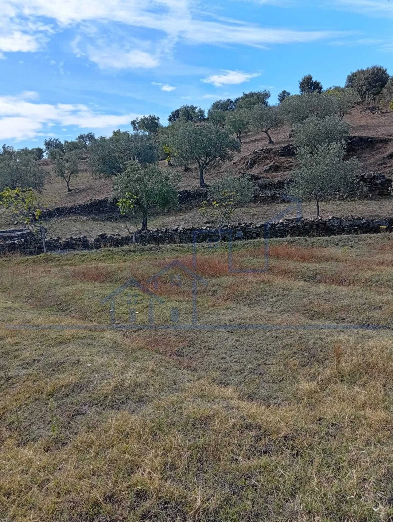 Terreno para Venda em Vila Flor e Nabo Foto 18