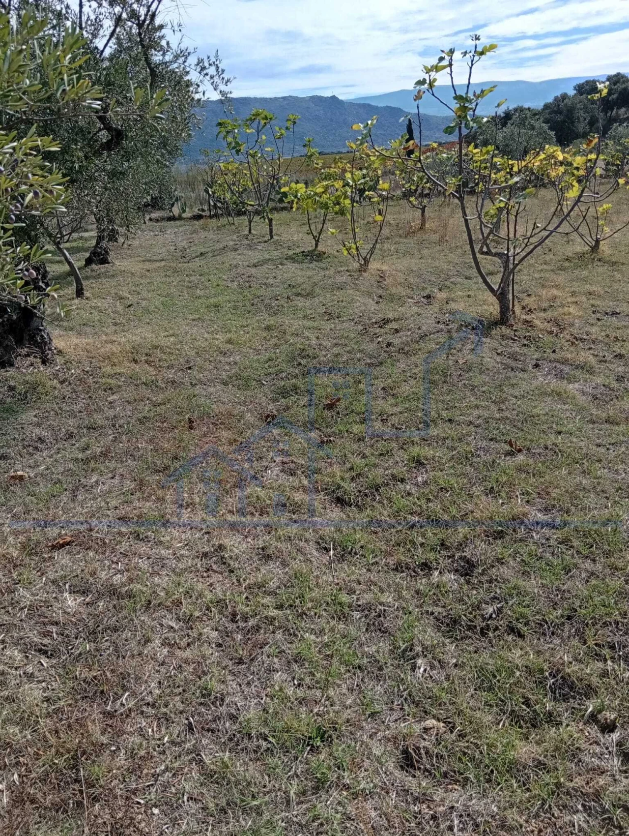 Terreno para Venda em Vila Flor e Nabo Foto 20