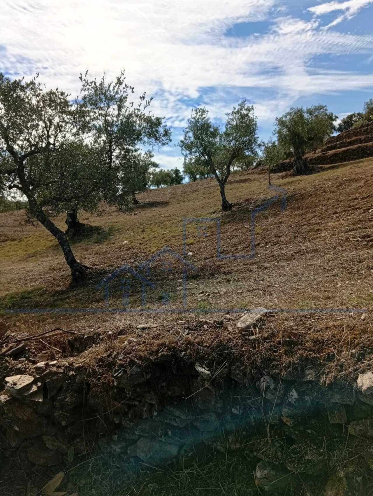 Terreno para Venda em Vila Flor e Nabo Foto 17