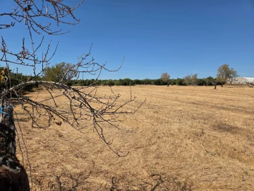 Terreno para Venda em Moncarapacho e Fuseta