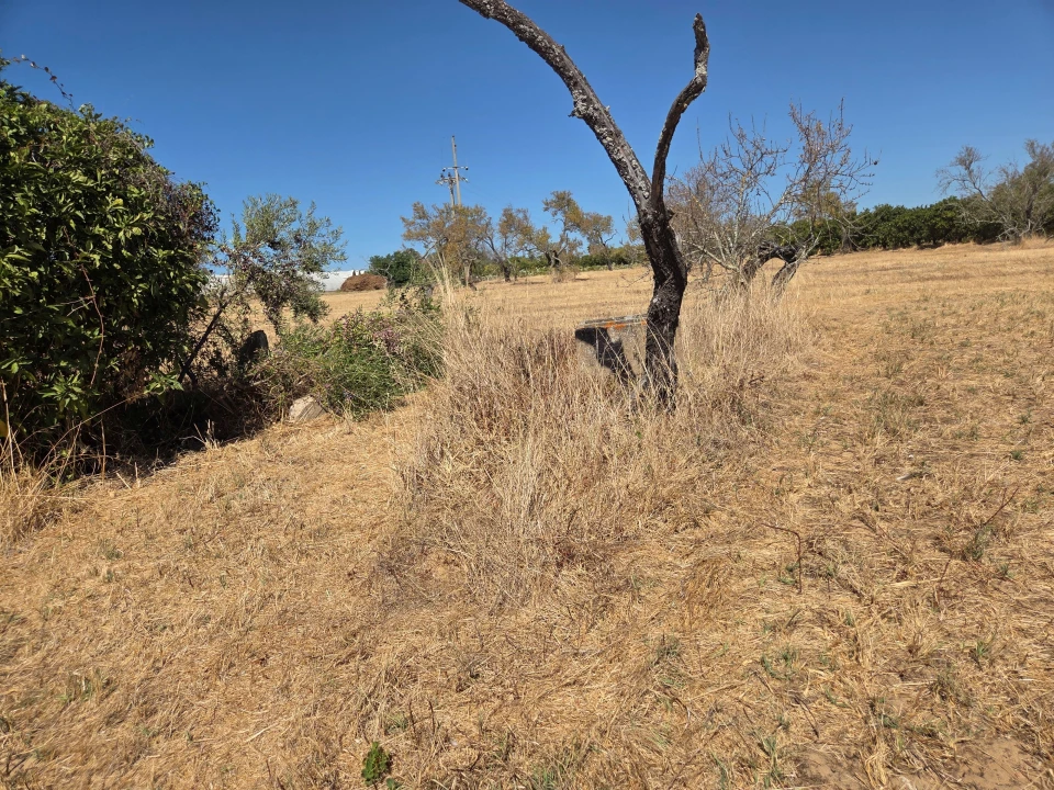 Terreno para Venda em Moncarapacho e Fuseta Foto 4