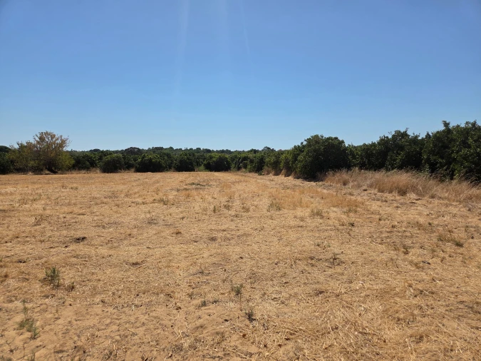 Terreno para Venda em Moncarapacho e Fuseta Foto 7
