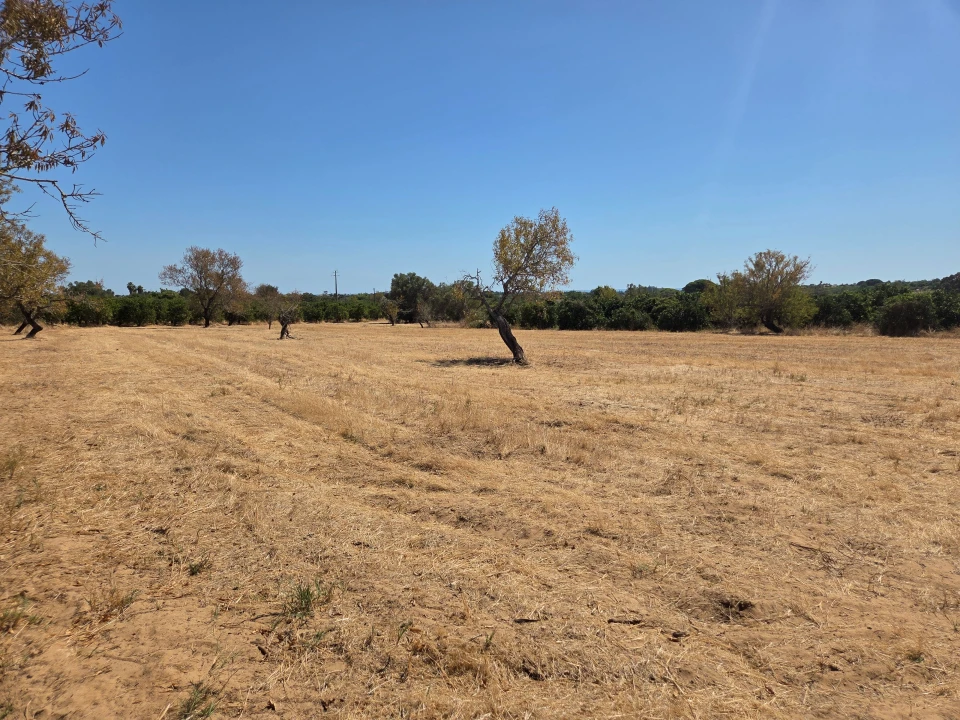 Terreno para Venda em Moncarapacho e Fuseta Foto 6