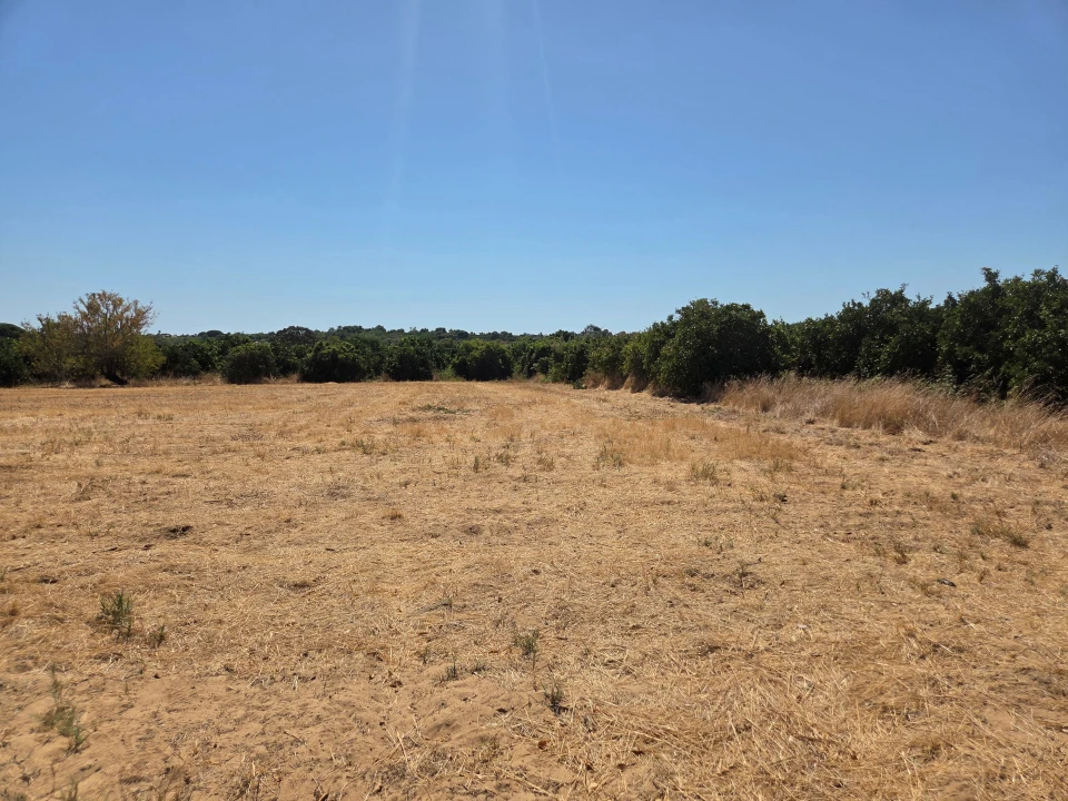 Terreno para Venda em Moncarapacho e Fuseta Foto 7