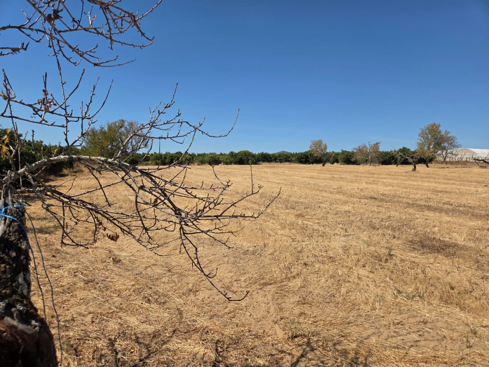 Terreno para Venda em Moncarapacho e Fuseta Foto 5