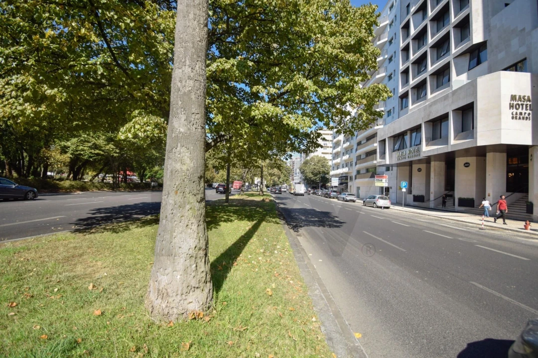 Apartamento T3 para Arrendamento em Alvalade Foto 30