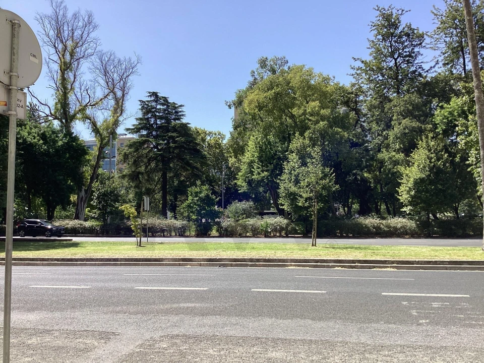 Apartamento T3 para Arrendamento em Alvalade Foto 31