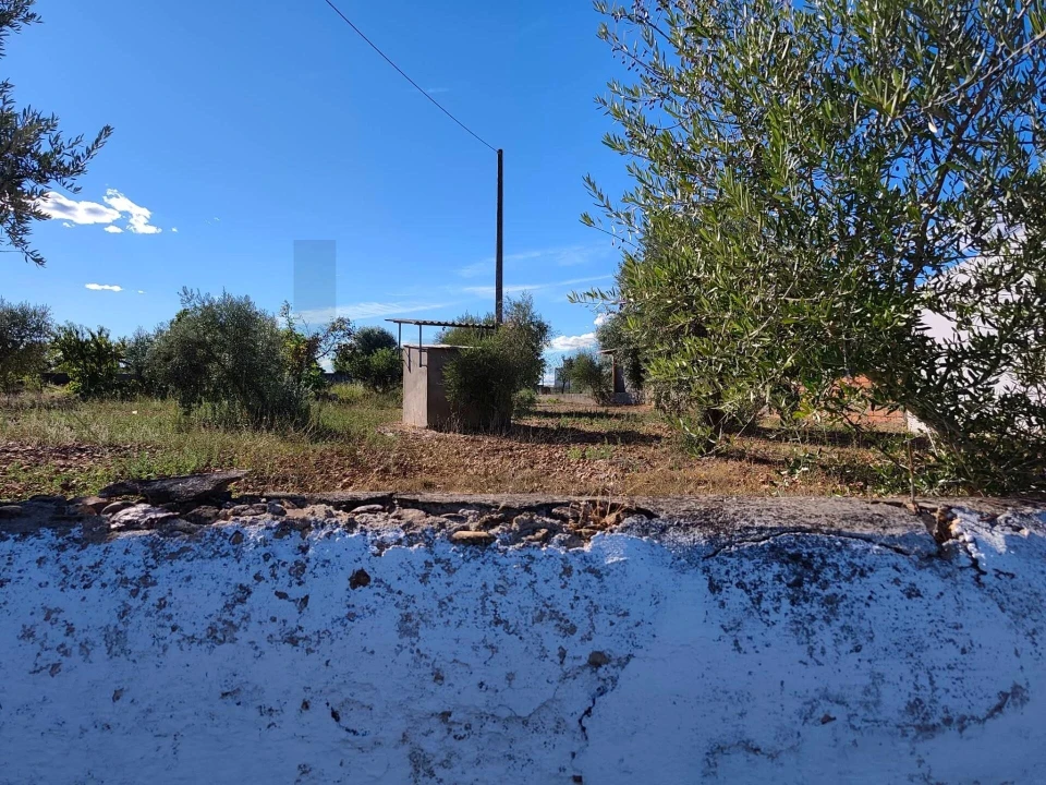 Terreno para Venda em São Facundo e Vale das Mós Foto 9