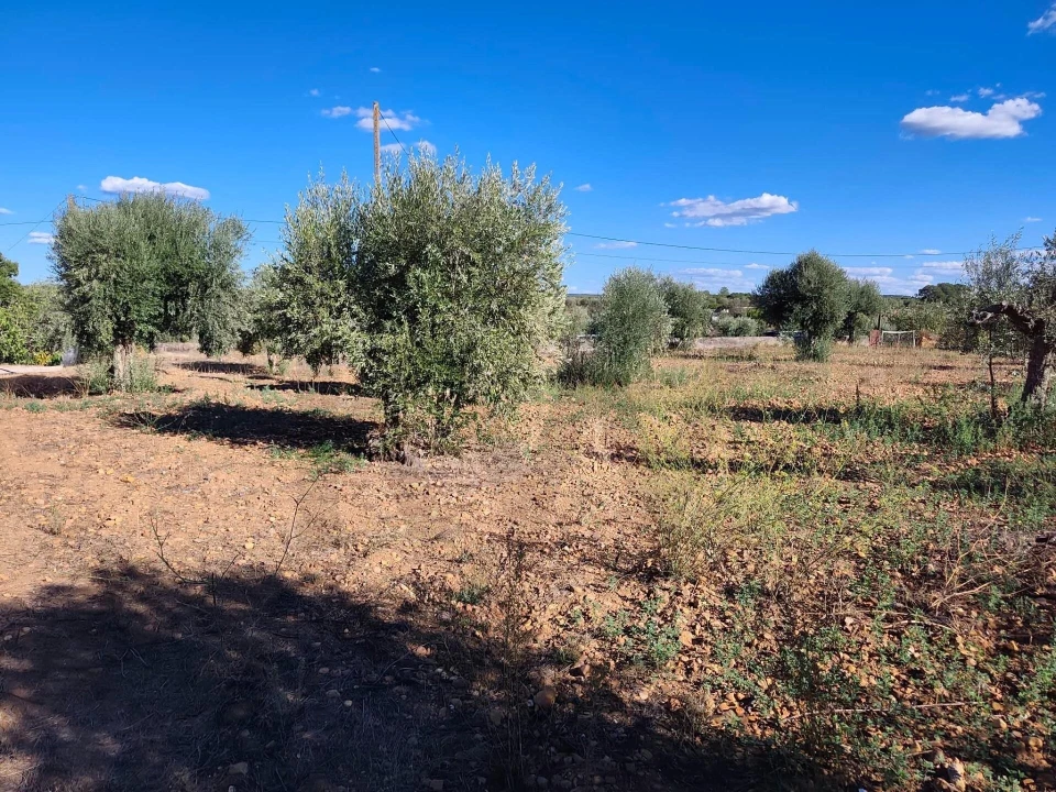 Terreno para Venda em São Facundo e Vale das Mós Foto 15
