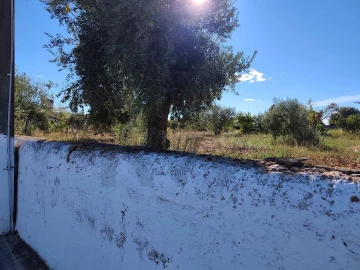 Terreno para Venda em São Facundo e Vale das Mós