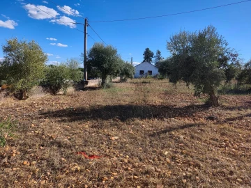 Terreno para Venda em São Facundo e Vale das Mós