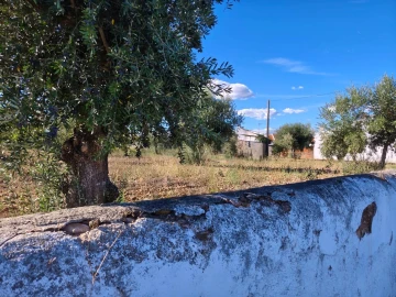 Terreno para Venda em São Facundo e Vale das Mós