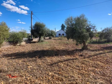 Terreno para Venda em São Facundo e Vale das Mós