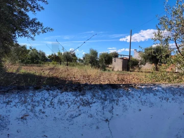 Terreno para Venda em São Facundo e Vale das Mós