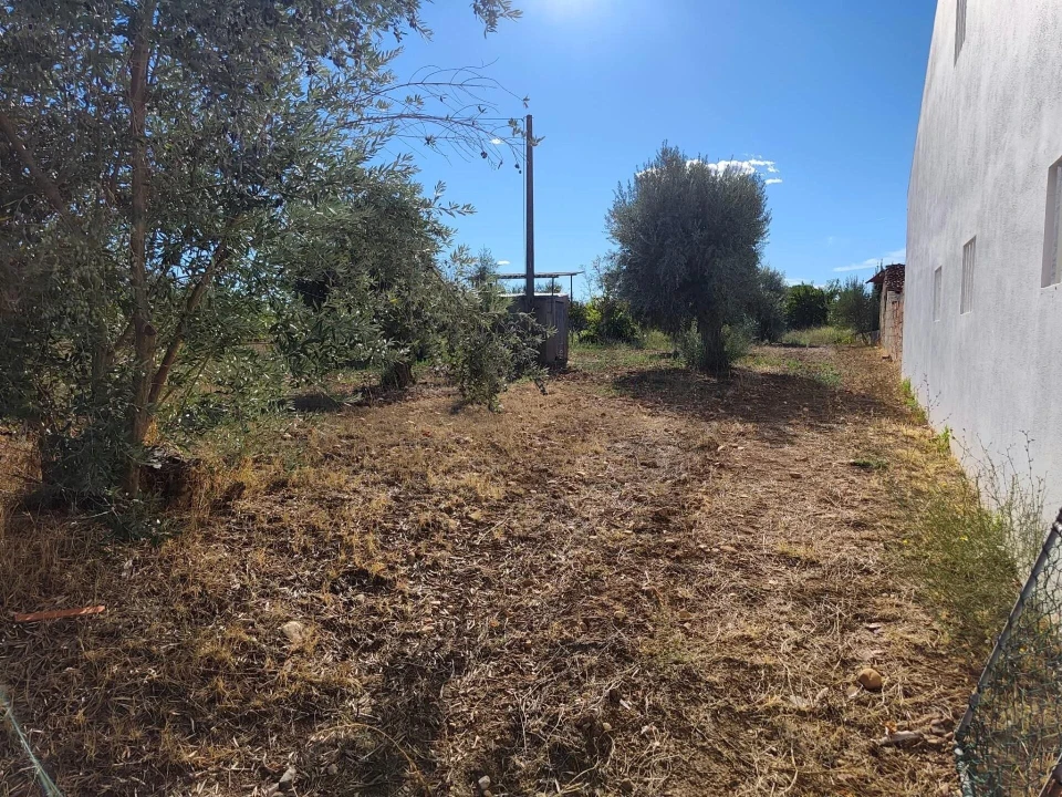 Terreno para Venda em São Facundo e Vale das Mós Foto 13