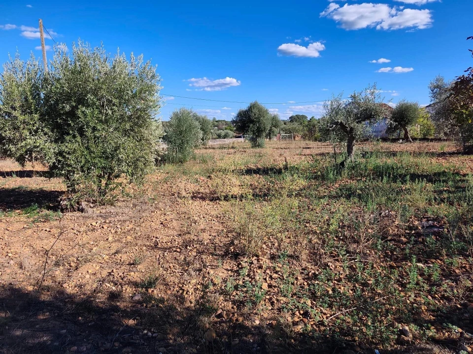 Terreno para Venda em São Facundo e Vale das Mós Foto 16