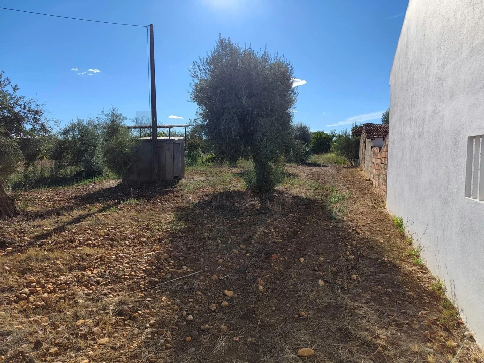 Terreno para Venda em São Facundo e Vale das Mós Foto 19