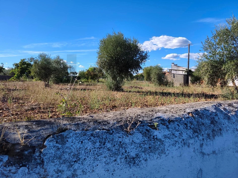 Terreno para Venda em São Facundo e Vale das Mós Foto 3