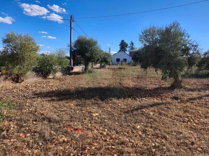 Terreno para Venda em São Facundo e Vale das Mós Foto 18