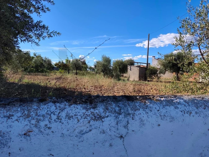 Terreno para Venda em São Facundo e Vale das Mós Foto 7