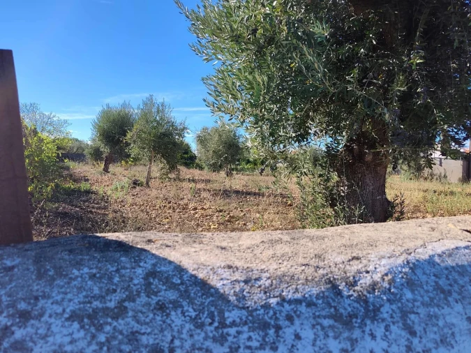 Terreno para Venda em São Facundo e Vale das Mós Foto 5