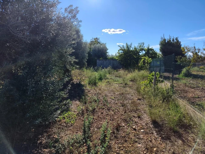 Terreno para Venda em São Facundo e Vale das Mós Foto 12
