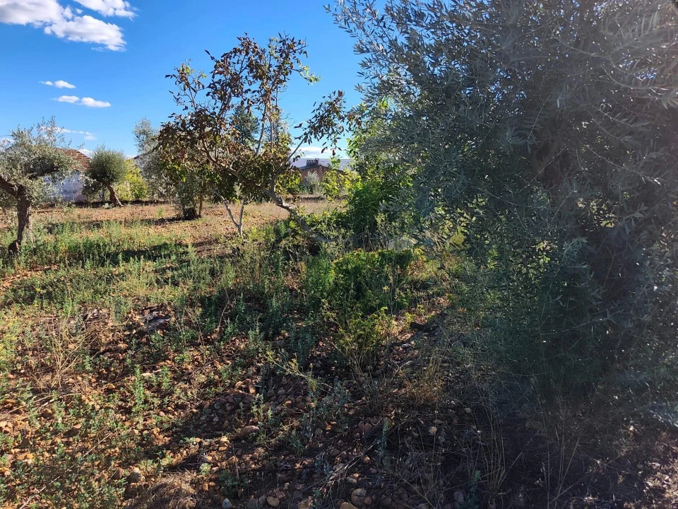 Terreno para Venda em São Facundo e Vale das Mós Foto 14