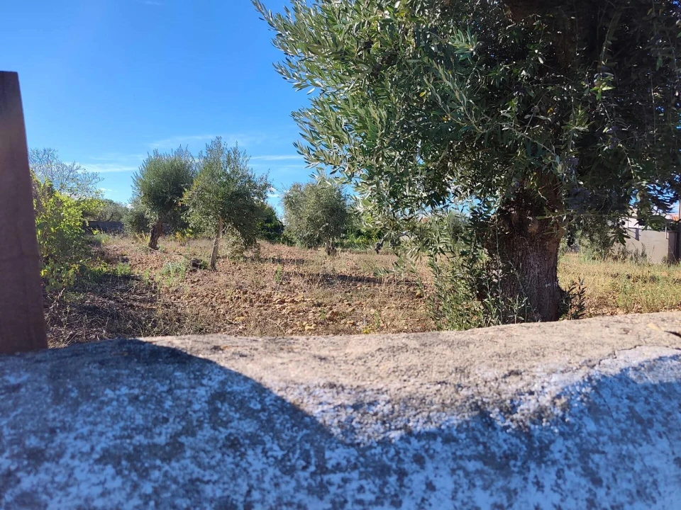 Terreno para Venda em São Facundo e Vale das Mós Foto 5