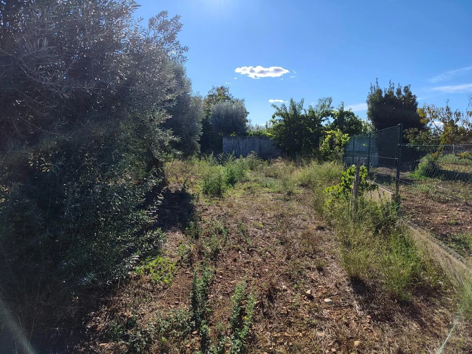 Terreno para Venda em São Facundo e Vale das Mós Foto 12