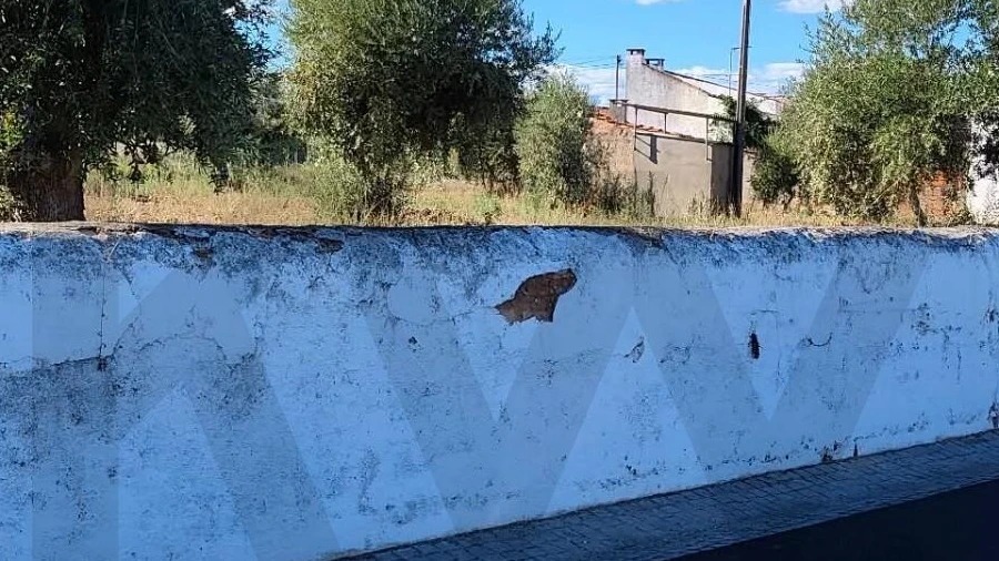 Terreno para Venda em São Facundo e Vale das Mós