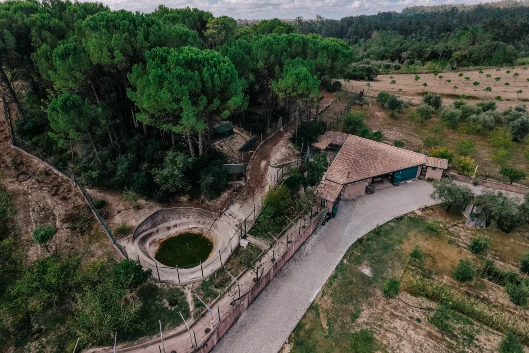 Quinta T3 para Venda em Souselas e Botão Foto 43