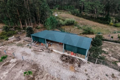Quinta T3 para Venda em Souselas e Botão