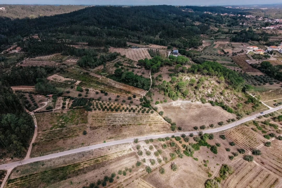 Quinta T3 para Venda em Souselas e Botão Foto 44