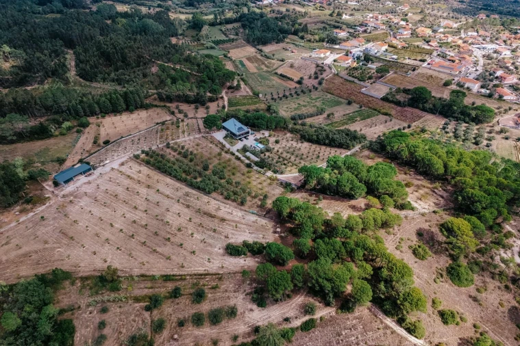 Quinta T3 para Venda em Souselas e Botão Foto 40