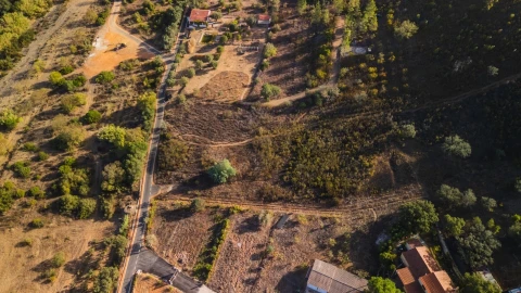 Terreno para Venda em São Bartolomeu de Messines